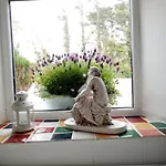 Feriehus Cozy Seaside